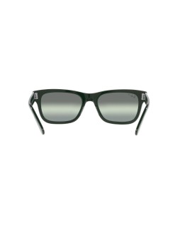 Okulary przeciwsłoneczne RAY-BAN RB 2283 58 6659G4