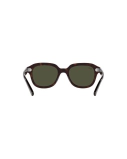 Okulary przeciwsłoneczne RAY-BAN RB 4398 53 902/31