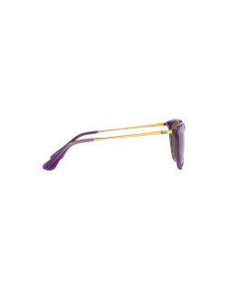 Okulary przeciwsłoneczne RAY-BAN JUNIOR RJ 9060S 50 713173