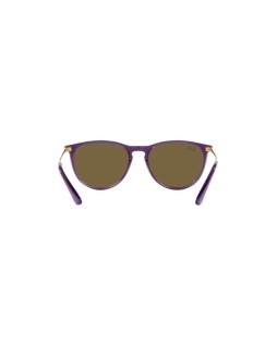 Okulary przeciwsłoneczne RAY-BAN JUNIOR RJ 9060S 50 713173