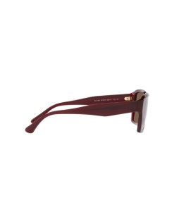 Okulary przeciwsłoneczne EMPORIO ARMANI EA 4186 58 507573