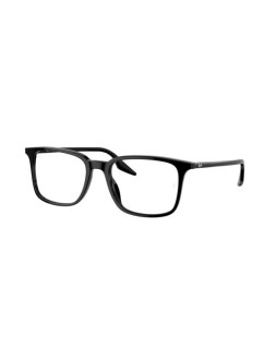 Ray-Ban RX 5421 55 2000
