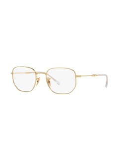 Ray-Ban RX 6496 53 2500