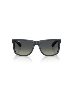 Ray-Ban RB 4165 55 681311