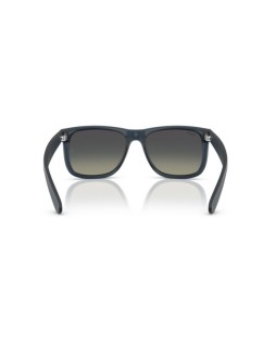 Ray-Ban RB 4165 55 681311