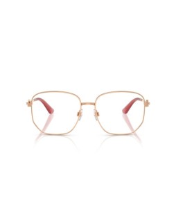 Dolce & Gabbana DG 1356 55 1298