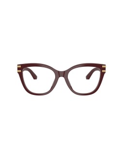 Dolce & Gabbana DG 3418 55 3091