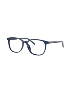 Kolekcja jesień/zima 2025 Dolce & Gabbana DG 3426 53 3009