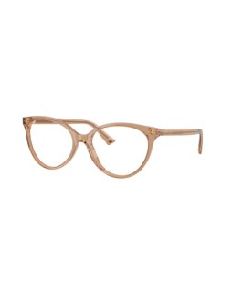 Jimmy Choo JC 3047 55 5076