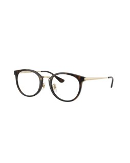 Ray-Ban RX 7266D 49 8472