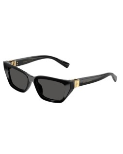 Dolce & Gabbana DG 4532 53 501/87
