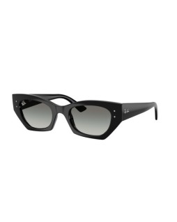 Ray-Ban RB 4430 52 667711
